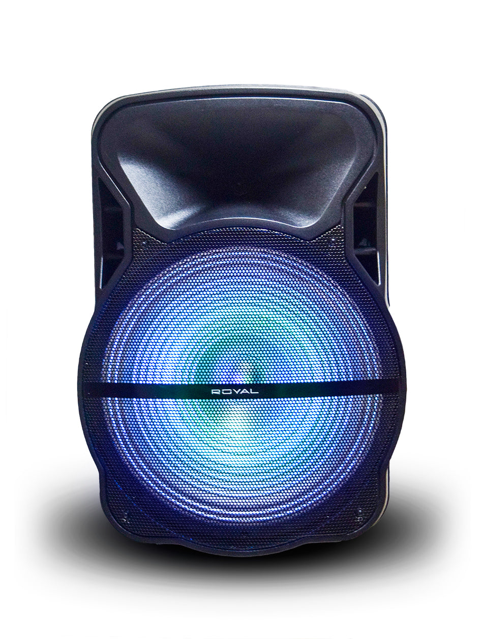Equipo de sonido RYL-PA1501